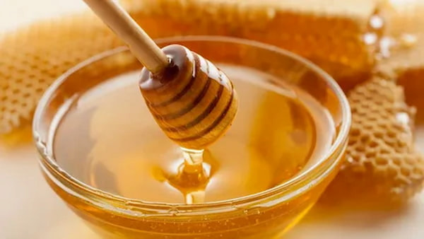 تصویر 4 از فروش عمده عسل گون با کیفیت سبلان
